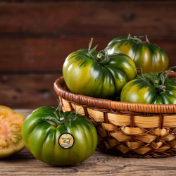 Tomate Raf