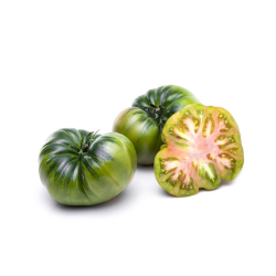 Tomate Raf