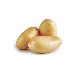 Patata
