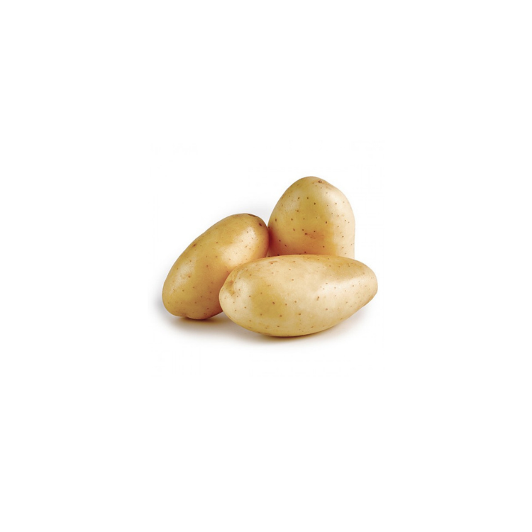 Patata