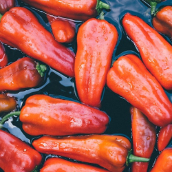 Pimiento Rojo Dulce