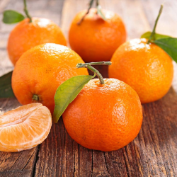 Clementinas Redondo