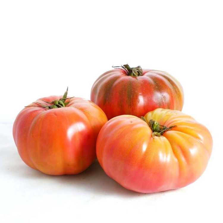 Tomate rosa