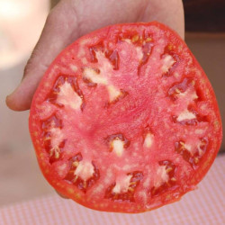 Tomate rosa