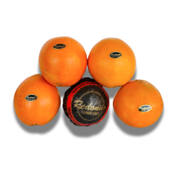 Naranja de ZUMO y MESA De VALENCIA
