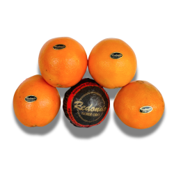 Naranja de ZUMO y MESA De VALENCIA