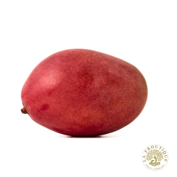 Mango IRWIN de MALAGA