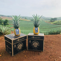 Piña de AVIÓN La Froutique 4,99 €/KG
