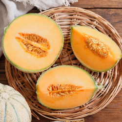 Melón CANTALUPO 2,99 €/KG