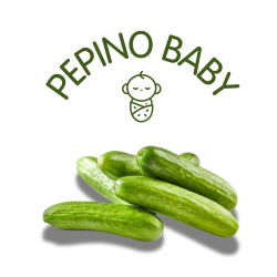 pepinobaby
