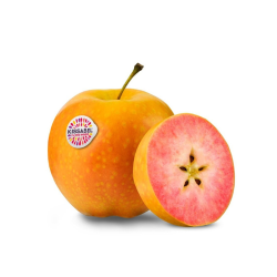 Manzana KISSABEL