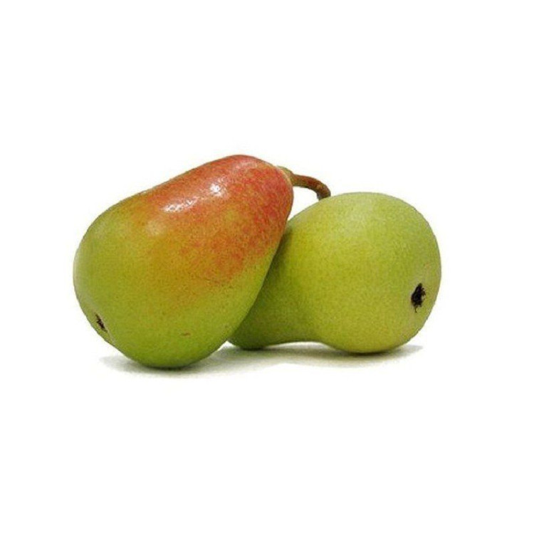 Pera ercolina