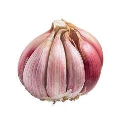 Ajo