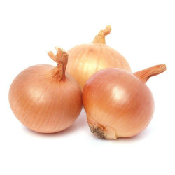 Cebolla