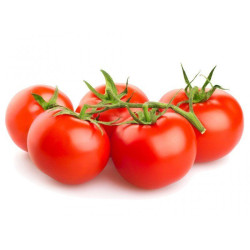 Tomate rama