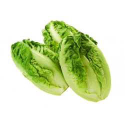 Cogollos