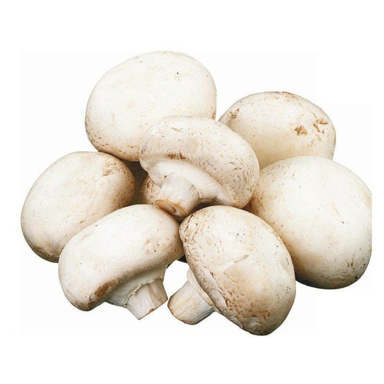 Champiñón
