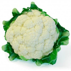 Coliflor