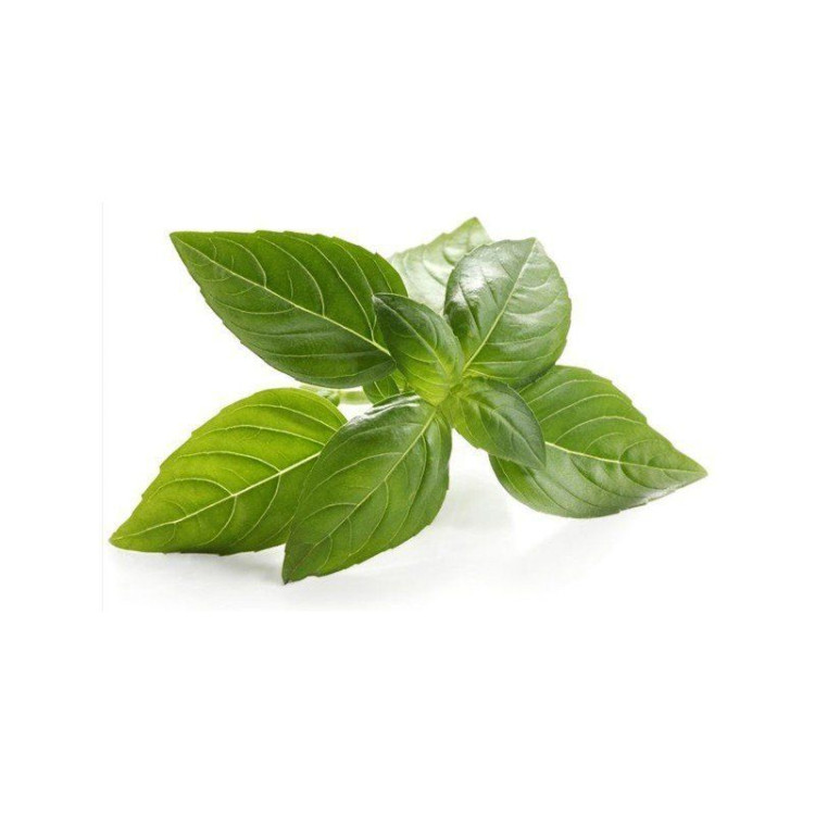 Albahaca