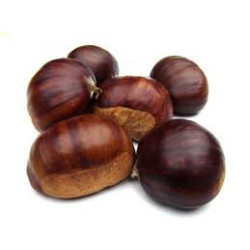 Castaña