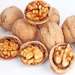 Nueces