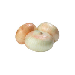 Cebolla Francesa