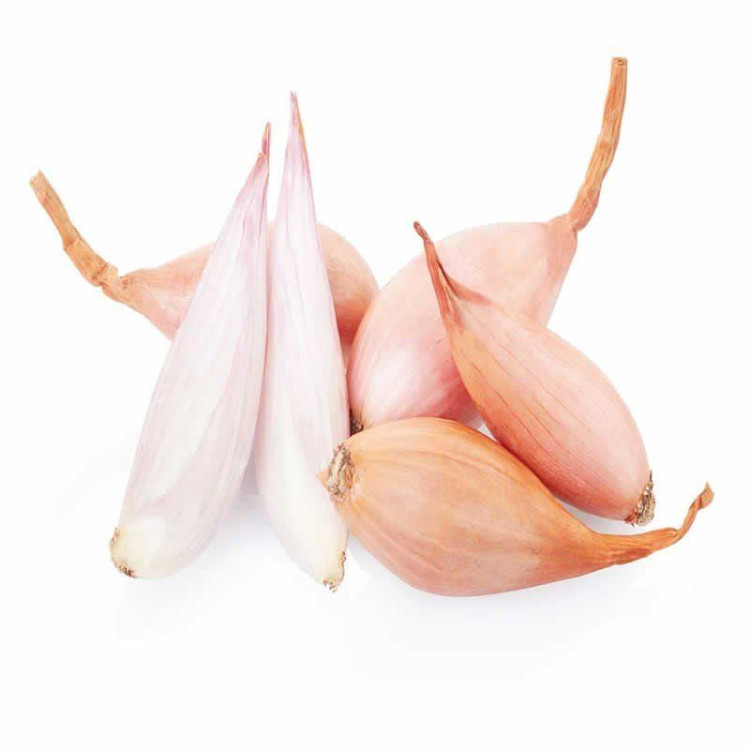 Cebolla Charlota