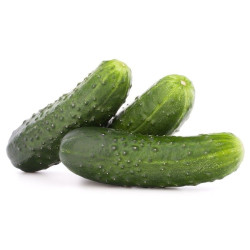Pepino