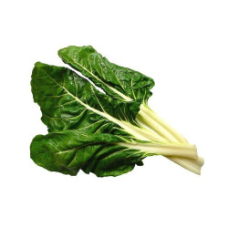 Acelga