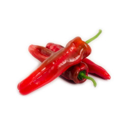 Pimiento rojo