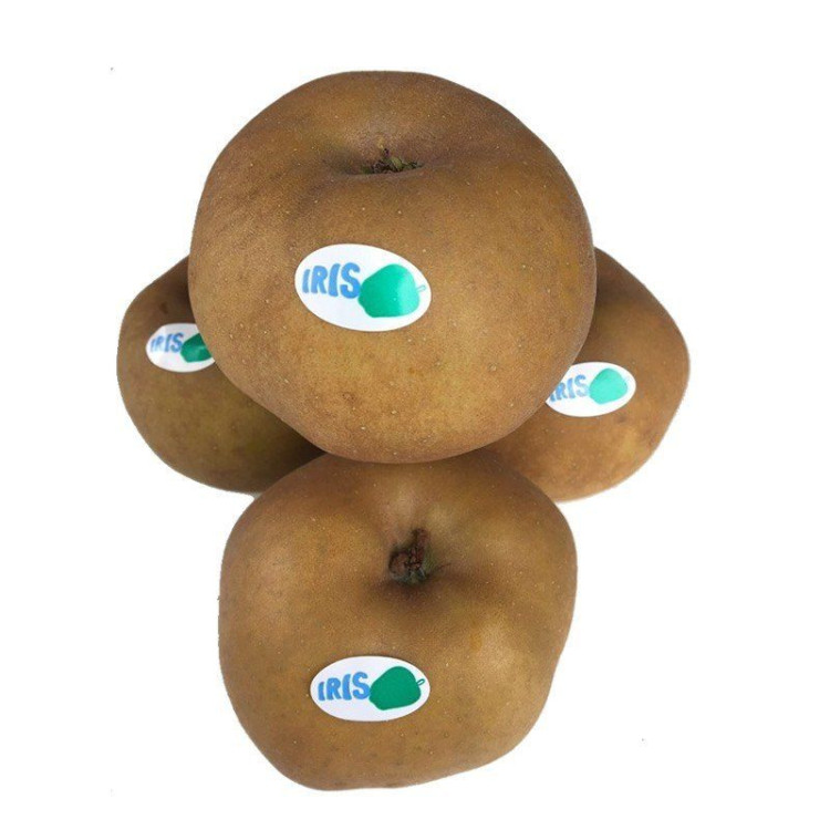 Manzana reineta
