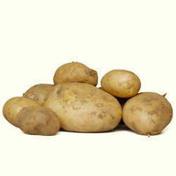Patata Gallega (Cachelos)