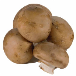 Champiñón Portobello