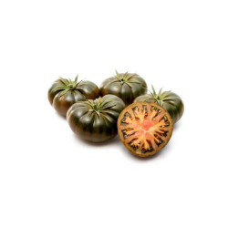 Tomate Primora