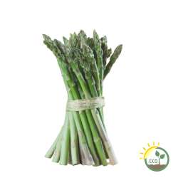Espárrago Verde Ecológico