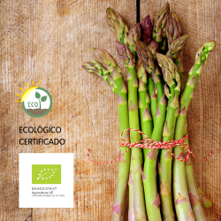 Espárrago Verde Ecológico