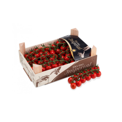 Tomate Cherry "Divino"
