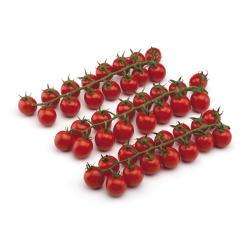 Tomate Cherry "Divino"