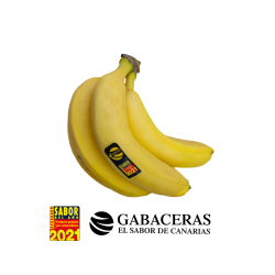 Plátano de Canarias "Gabaceras"