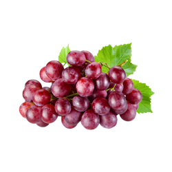 Uva roja de Monforte del Cid