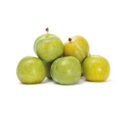 Ciruela Fresa