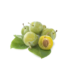 Ciruela Fresa