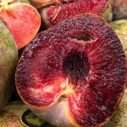 Ciruela Fresa