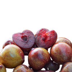Ciruela Fresa