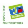 BlueWhale